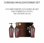 코리아나 부산진대리점 | 코리아나 용인우량대리점