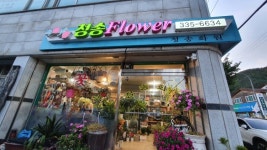현대꽃화원;청송잔디 | 청송꽃화원