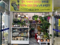 김작가네 다육갤러리
