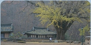 국선도수락산역수련원 | 국선도 서면수련원