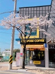 컴포즈커피(COMPOSE COFFEE) 하단강변점 | 컴포즈커피 하단강변점
