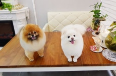 서대구자동차운전전문학원