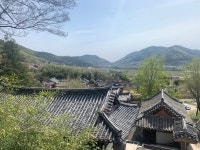 고려동협동조합