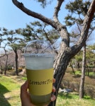 우석대레몬트리야외점 | 우석대 레몬트리