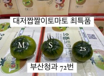 제일중앙청과 133번 중매인 | 부산청과중매인72호