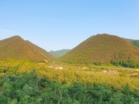 농업회사법인즈비즈비