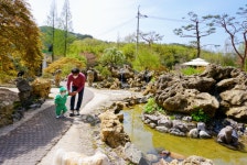 정희네정원이야기 | 정원이야기
