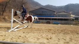 원 승마클럽