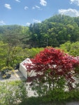 헬로우힐 연인산캠핑장