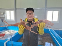 포항브라더수산