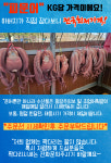 포항브라더수산