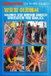 포항브라더수산