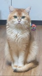 쿤이수염을쫓아