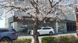 쥬단학충무대리점 | 현대자동차 온양충무대리점