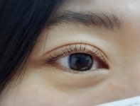 쏘피의세계 속눈썹
