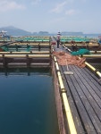 순수수산질병관리원 | 이도수산질병관리원
