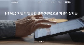 피오디존