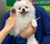 대일풋살파크 강북점