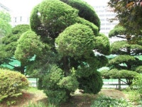 경인조경설계사무소주 | 경인조경