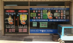 가월가물치대관령건강원 | 가월가물치건강원