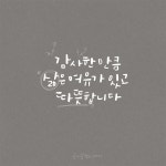다와의글씨꽃 | 글씨꽃
