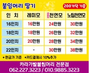 카라가발 붙임머리전문점
