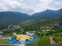 약손산삼농원 | 신농산삼약초농원