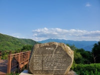 약손산삼농원 | 신농산삼약초농원