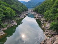 약손산삼농원 | 신농산삼약초농원