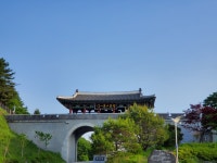 약손산삼농원 | 신농산삼약초농원