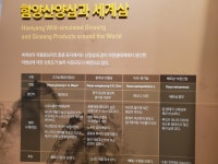 약손산삼농원 | 신농산삼약초농원