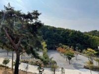 운악184 오토캠핑 글램핑장