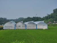 트렌디파머