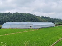 트렌디파머