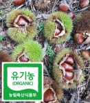 다압매실원