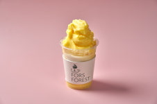 포르토,포레스트하우스(PORTO,FORESTHOUSE) | 포르스포레스트