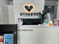 김미경동물병원