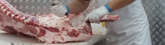 주식회사 반듯한우 | 반듯한우