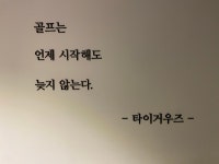 피엠골프스튜디오 | JS골프스튜디오