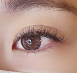 후기