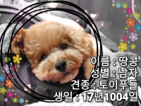 럭셔리뷰티 별가람점 | 블링블링 네일 속눈썹 별내 별가람역점