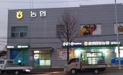 장학교육로티스지점 | 춘천강동농협 장학지점