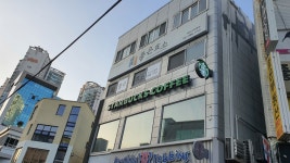 좋은효소 광양본부 | 좋은효소 부산본부