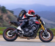 앤씨이에스펌