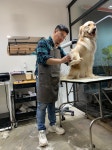 인터펫동탄1호점 | 펫바스로 동탄본점