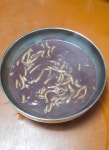 상맛바지락 | 진미팥칼국수