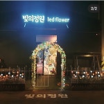 빛의정원엘이디플로라 | 빛의정원 led 리얼 플라워