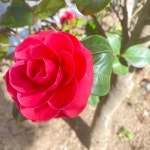 후기