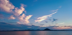 대성임업 주식회사(1종) | 황제임업