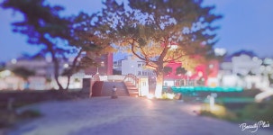 대성임업 주식회사(1종) | 황제임업